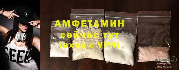 прущие грибы Абаза