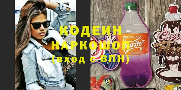 прущие грибы Абаза