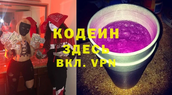 прущие грибы Абаза