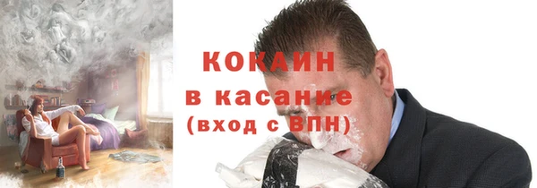 прущие грибы Абаза