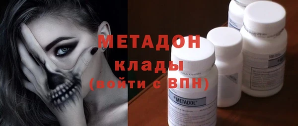 прущие грибы Абаза
