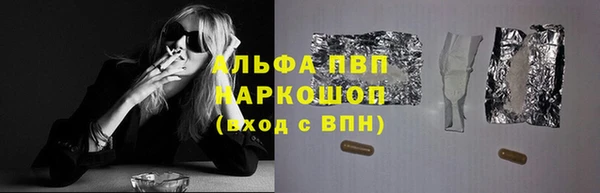 прущие грибы Абаза