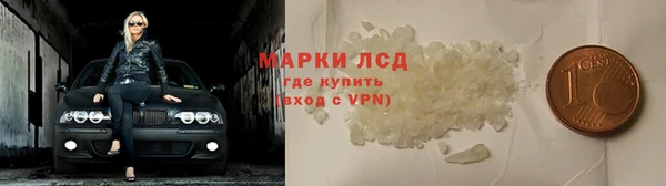 прущие грибы Абаза