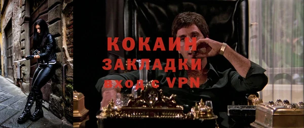 прущие грибы Абаза
