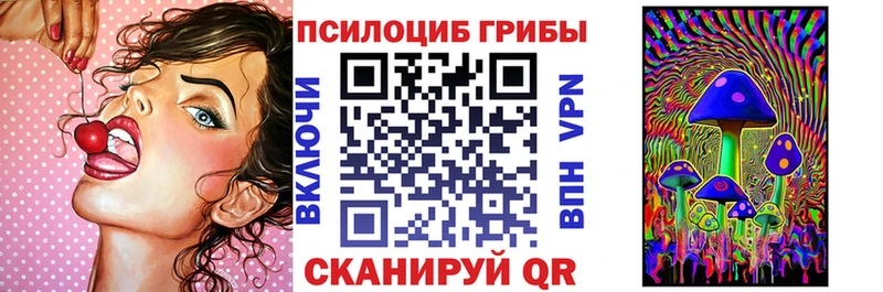 наркошоп  Нерчинск  мега ONION  Галлюциногенные грибы MAGIC MUSHROOMS 